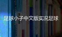 足球小子中文版實況足球維特塞爾男足最新消息