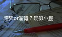 跨界or溜背？疑似小鵬全新MPV路試諜照曝光