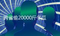 跨省偷20000斤冬瓜 無業男子屢次作案