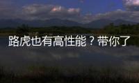 路虎也有高性能？帶你了解攬勝運動版