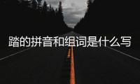 踏的拼音和組詞是什么寫（踏的拼音和組詞）