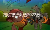 踏歌智行入選2022數(shù)智化轉(zhuǎn)型與創(chuàng)新實(shí)踐案例