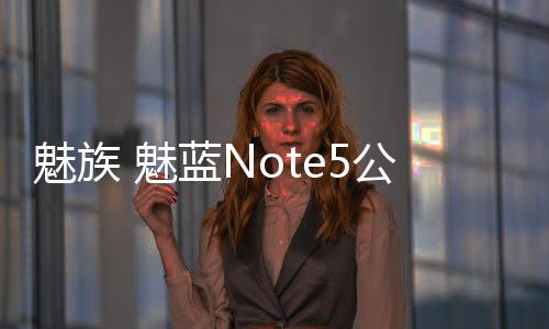 魅族 魅藍(lán)Note5公開版 全網(wǎng)通手機(jī)一鍵線刷救磚教程，輕松刷回官方系統(tǒng)