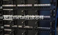 魅藍metal應該怎樣在官網查詢信息？方法和技巧詳細介紹