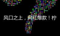 風口之上，網紅爆款！檸萌多小青檸汁共創財富！