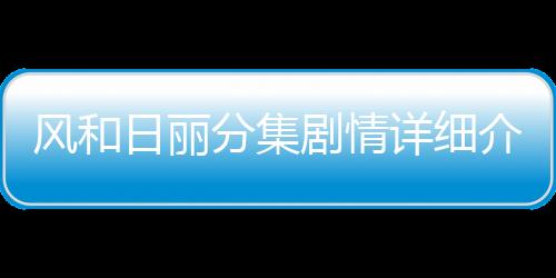 風和日麗分集劇情詳細介紹第24集