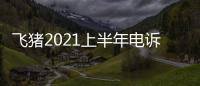 飛豬2021上半年電訴寶用戶投訴數據出爐：獲2次“謹慎下單”評級