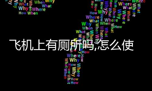 飛機上有廁所嗎,怎么使用（飛機上有廁所嗎）