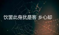 飲罷此身猶是客 鄉(xiāng)心卻附晚潮回 賞析 重九賞心亭登高尾聯(lián)賞析