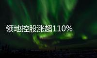 領地控股漲超110% 昨日回應集團營運維持正常