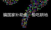 騙國家補助金、偷吃耕地占用稅，遵義處分多名“微腐敗”干部