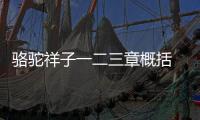 駱駝祥子一二三章概括 駱駝祥子一二三章概括內(nèi)容