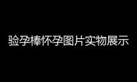 驗(yàn)孕棒懷孕圖片實(shí)物展示,如何正確使用驗(yàn)孕棒進(jìn)行檢測