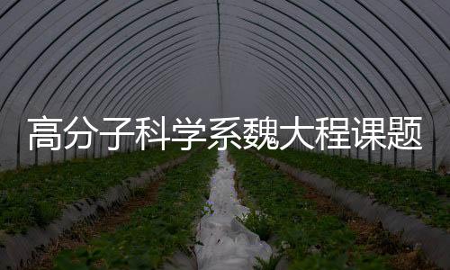 高分子科學系魏大程課題組在介電基底修飾技術領域取得重要進展