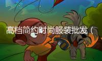 高檔簡約時尚服裝批發(fā)（高端服裝批發(fā)市場在哪里）