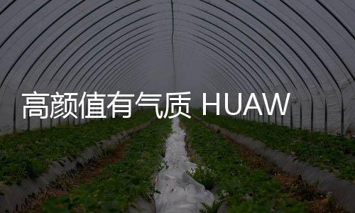 高顏值有氣質 HUAWEI nova 2 瞄準時尚手機潮流風向標【數碼&手機】風尚中國網