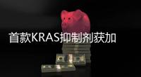 首款KRAS抑制劑獲加速批準 不可成藥靶點逆襲 多款藥物在路上