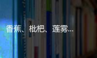 香蕉、枇杷、蓮霧......福建廈門發(fā)布18項供廈食品安全標(biāo)準(zhǔn)