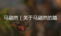 馬翩然（關(guān)于馬翩然的基本情況說明介紹）