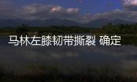 馬林左膝韌帶撕裂 確定無緣東京奧運會