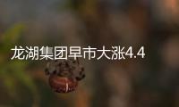 龍湖集團早市大漲4.48% 交易量超過6500萬港元