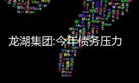 龍湖集團:今年債務壓力已經過去,明年到期債務“有充分資源償還”