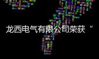 龍西電氣有限公司榮獲“一二次融合成套環(huán)網(wǎng)箱十大品牌”