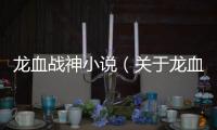 龍血戰神小說（關于龍血戰神小說的基本情況說明介紹）