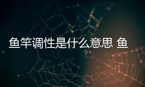 魚竿調(diào)性是什么意思 魚竿硬度和調(diào)性對(duì)照表（魚竿調(diào)性是什么意思）