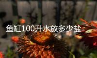 魚缸100升水放多少鹽好（魚缸100升水放多少鹽）