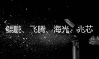 鯤鵬、飛騰、海光、兆芯、龍芯、申威，采購方該如何抉擇？