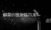 鮮菜價(jià)格漲幅21.8%，8月CPI同比上漲0.6%｜快訊