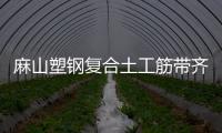 麻山塑鋼復合土工筋帶齊全