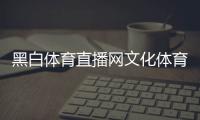 黑白體育直播網文化體育綜合體業態天天體育app下載