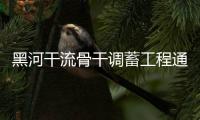 黑河干流骨干調(diào)蓄工程通過下閘蓄水階段驗收