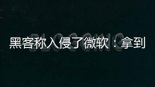 黑客稱入侵了微軟：拿到Bing和Cortana項目源代碼