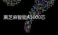 黑芝麻智能A1000芯片已完成全部量產(chǎn)認(rèn)證