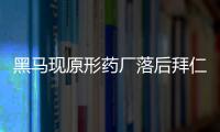 黑馬現原形藥廠落后拜仁，博洛尼亞、赫羅納明日出戰歐冠