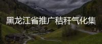 黑龍江省推廣秸稈氣化集中供氣技術現狀與發展對策