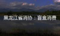 黑龍江省消協：盲盒消費要理性 避免中套上癮