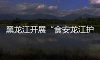 黑龍江開展“食安龍江護民生”風險大排查專項行動