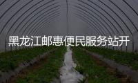 黑龍江郵惠便民服務站開啟郵銀惠農新模式