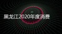 黑龍江2020年度消費(fèi)投訴十大熱點(diǎn)出爐 校外培訓(xùn)、新能源汽車上榜