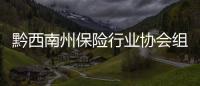 黔西南州保險行業協會組織16家保險公司開展防范非法集資宣傳活動