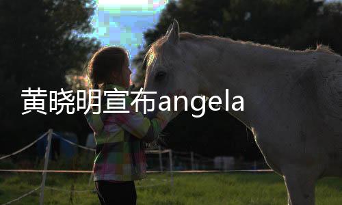 黃曉明宣布angelababy懷孕 結(jié)婚一周年報(bào)喜