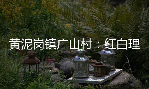 黃泥崗鎮(zhèn)廣山村：紅白理事會 “理”出文明新風(fēng)尚_