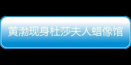 黃渤現(xiàn)身杜莎夫人蠟像館 與蠟像合影竟真假難分！