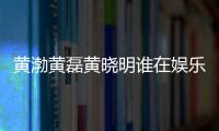 黃渤黃磊黃曉明誰(shuí)在娛樂(lè)圈的影響力更大 無(wú)疑是他