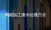 鴨腸加工廢水處理方法