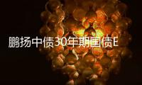 鵬揚中債30年期國債ETF6月13日起上市交易